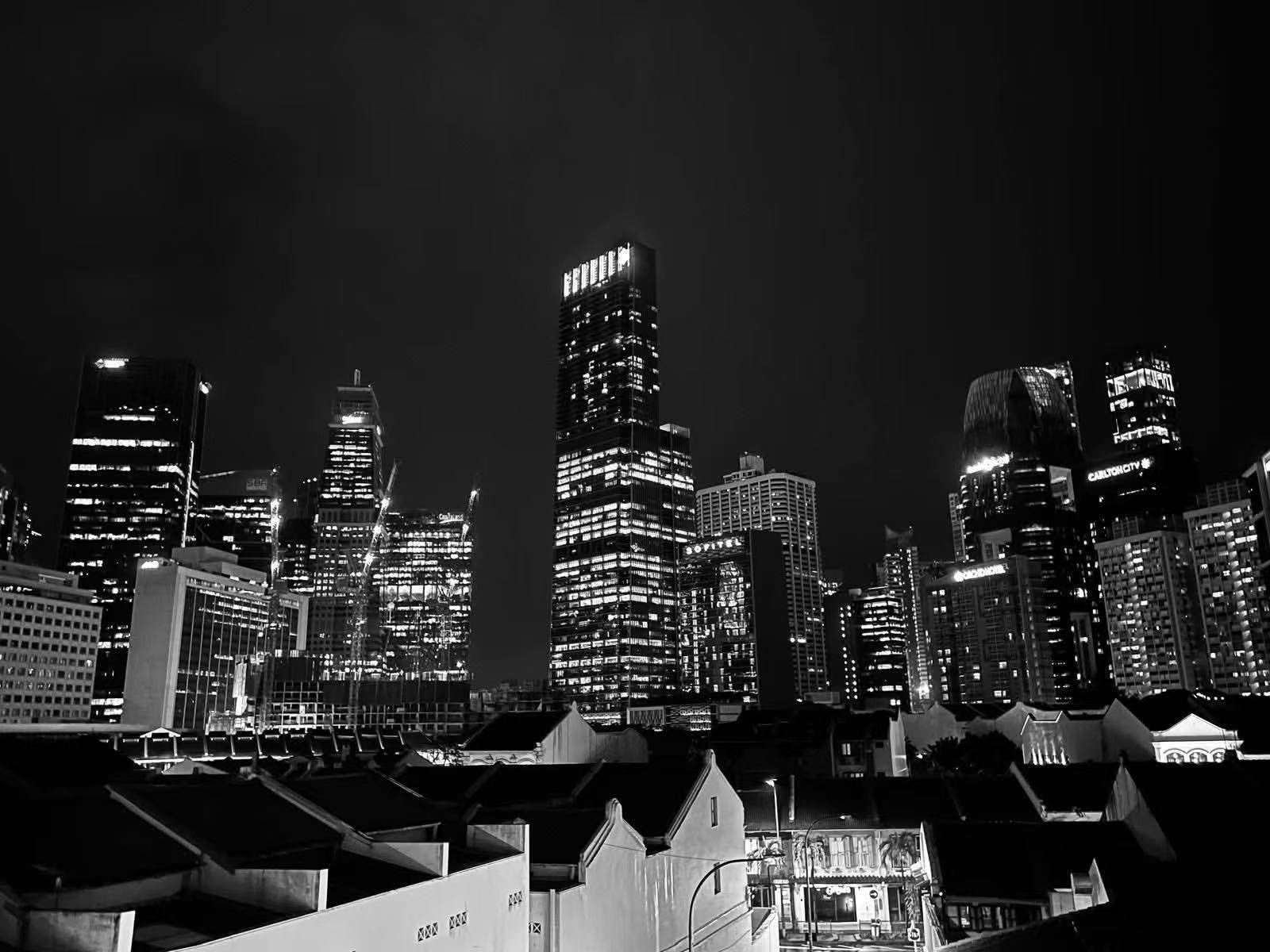 Black and white Singapore skyline from Patrimonio